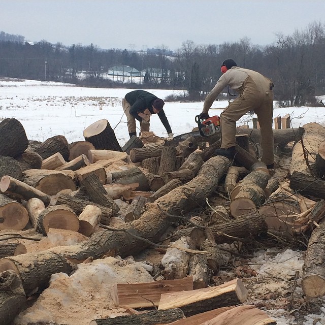 logs-2-14-15