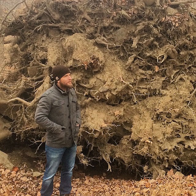 roots-11-14-14