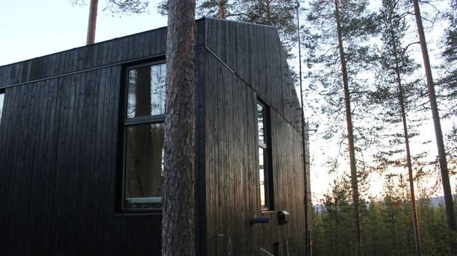 Shou sugi ban exterior siding in hotel treehouse