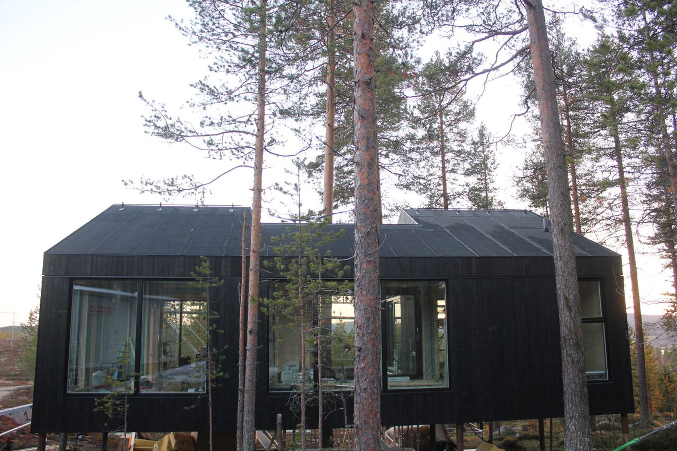 treehotel2